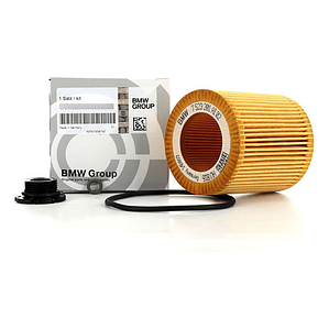 Filtro De Aceite Bmw F20 F30 X1 F10 N20 Bmw 
