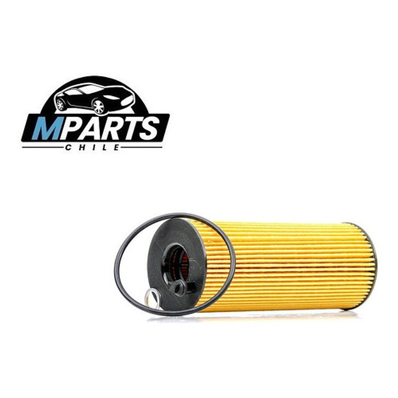 Filtro De Aceite Bmw Serie 1 3 5 7 X1 X3 X5 X6 Diesel 2