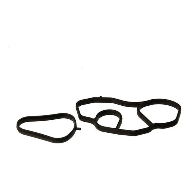 Empaquetadura Oring Porta Filtro Aceite Mini Cooper 3