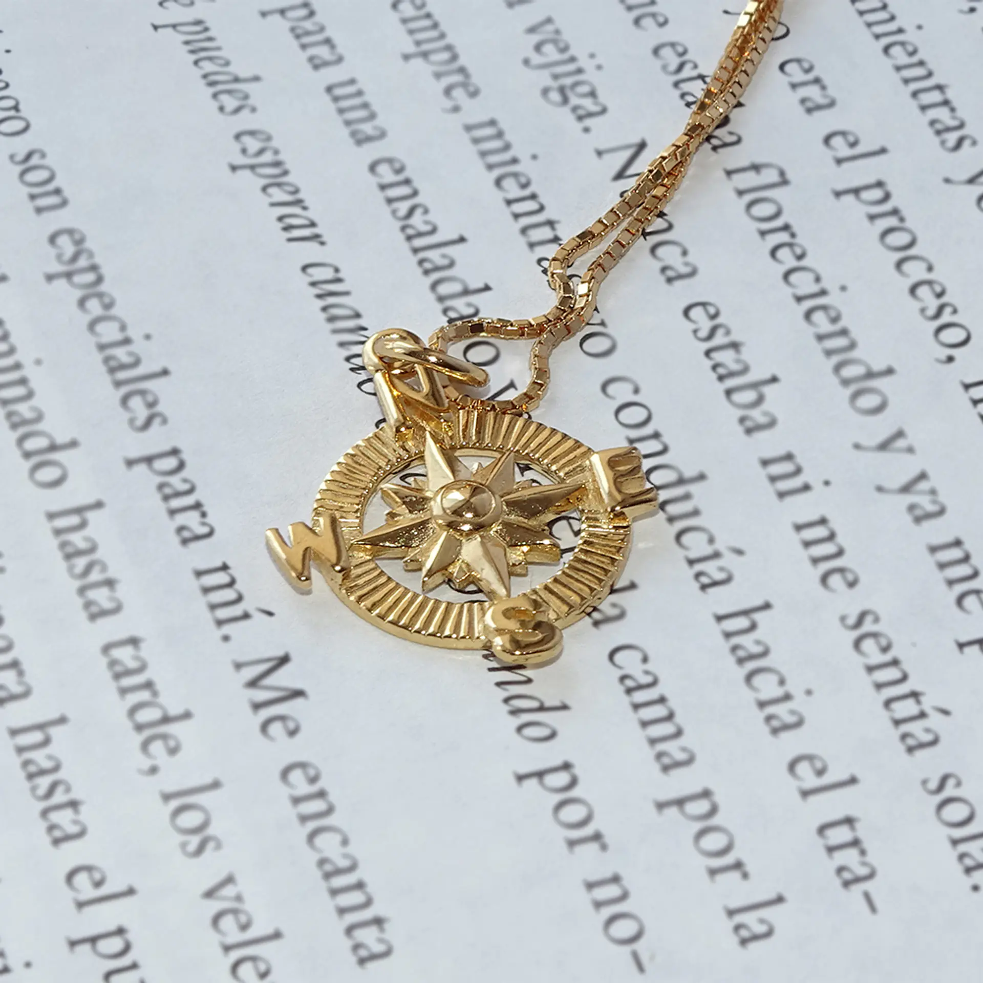 Collar De Plata Con Baño De Oro Brújula 5