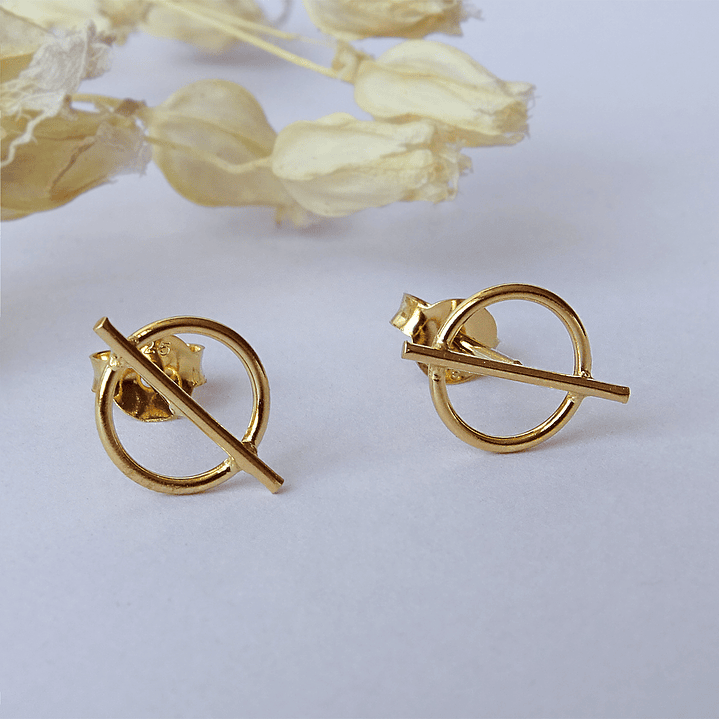 Aritos De Plata Con Baño de Oro Mini Circulo Áureo Dorado 5