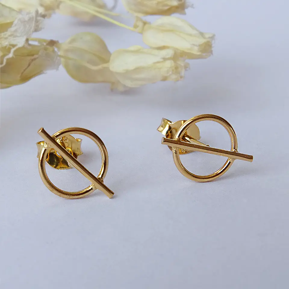 Aritos De Plata Con Baño de Oro Mini Circulo Áureo Dorado 5