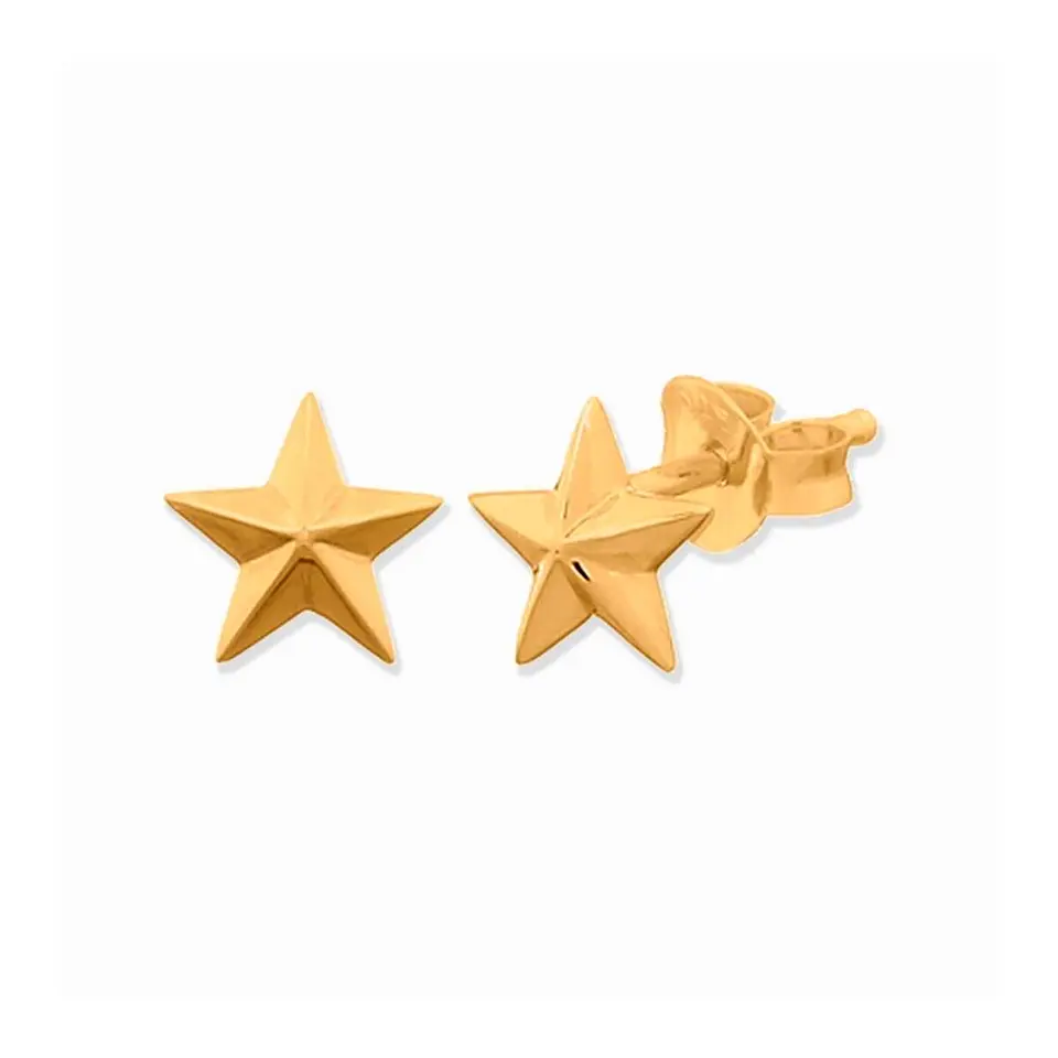 Aritos De Plata Con Baño de Oro Estrella Nautica 1