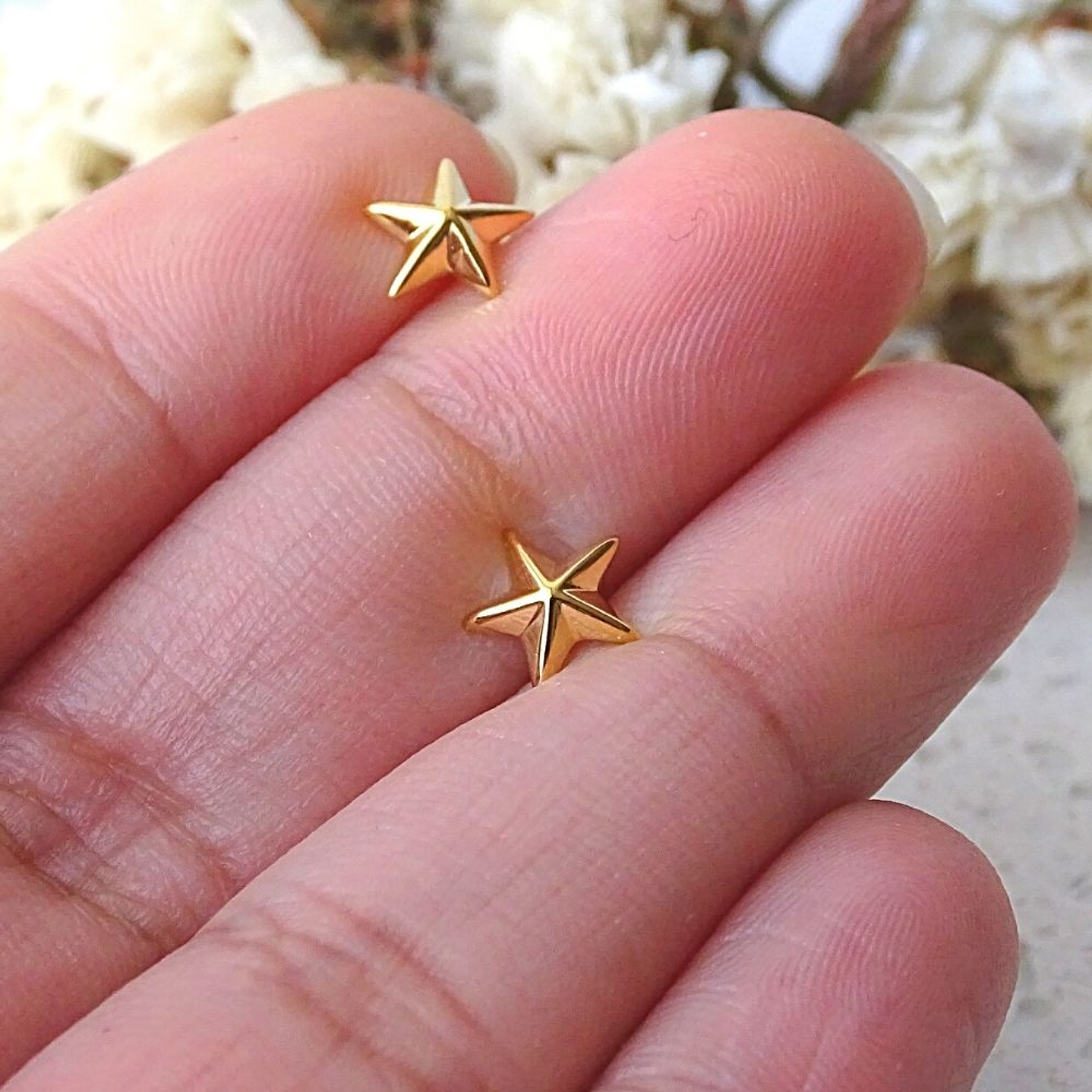 Aritos De Plata Con Baño de Oro Estrella Nautica 3