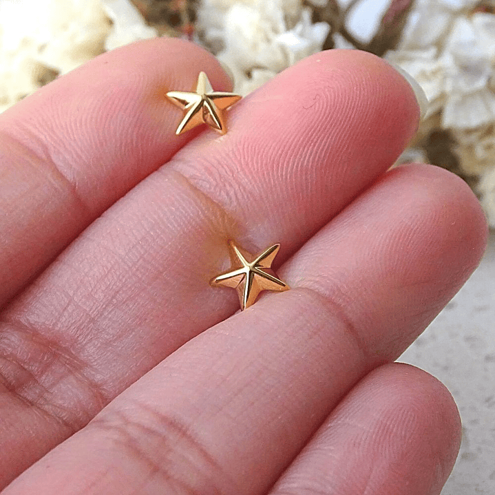 Aritos De Plata Con Baño de Oro Estrella Nautica 3