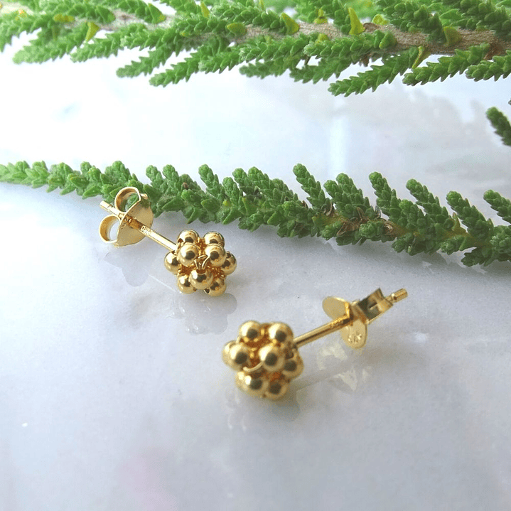 Aritos De Plata Con Baño de Oro Minipelotitas 2