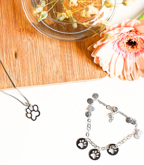 Conjunto Doglover de Plata 925