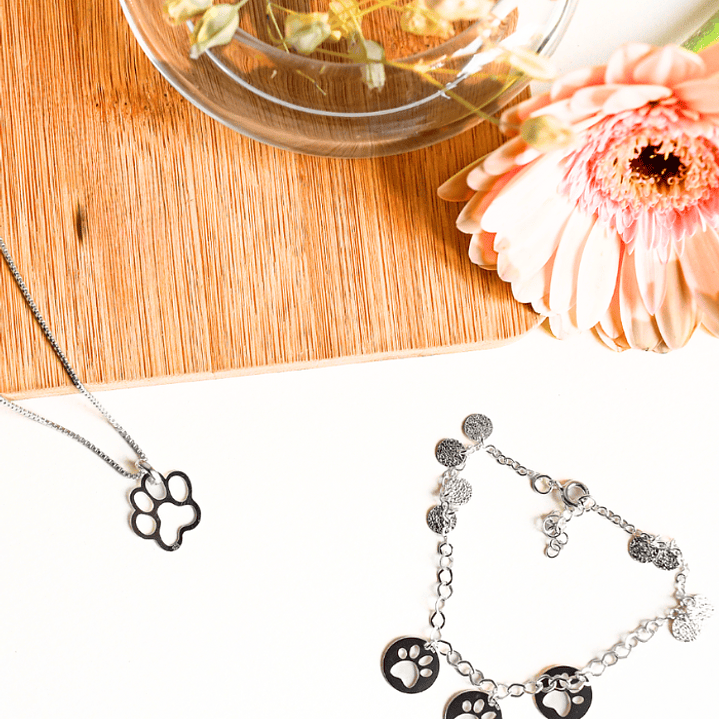 Conjunto Doglover de Plata 925 1