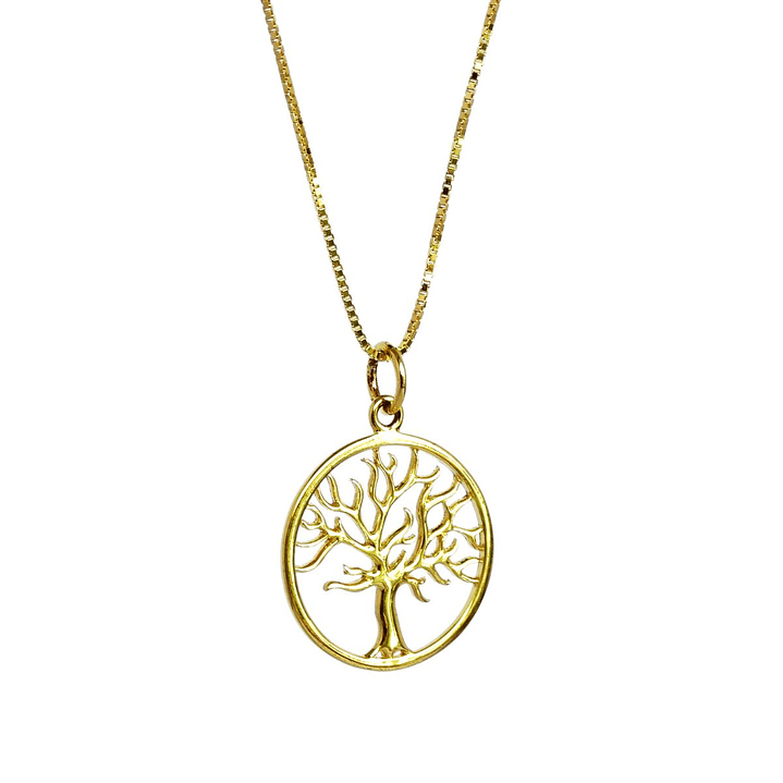 Collar De Plata Con Baño De Oro Árbol de la Vida 1