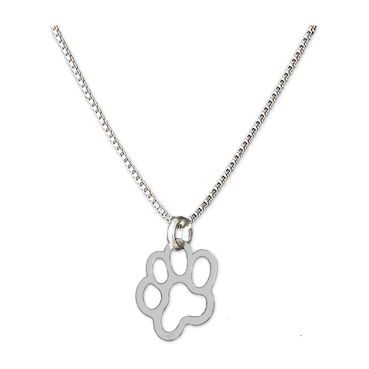 Conjunto Doglover de Plata 925 3