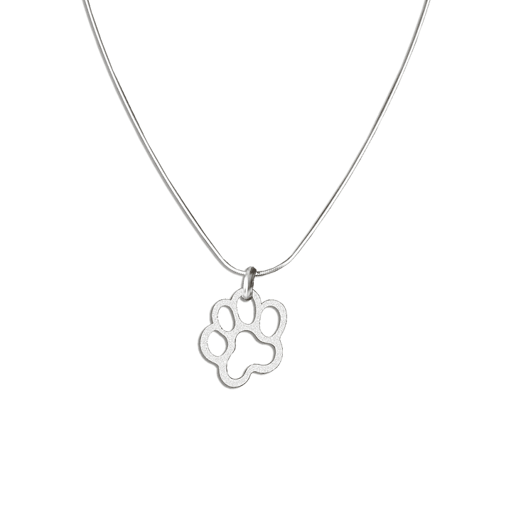 Cadena De Plata 925 Cola de Ratón & Colgante Doglover 1