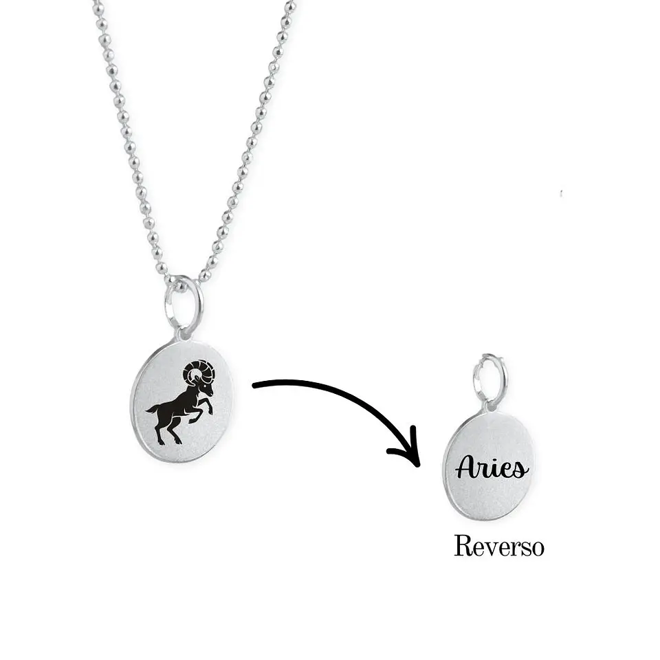 Collar Zodiaco Signos Horoscopo Plata 2