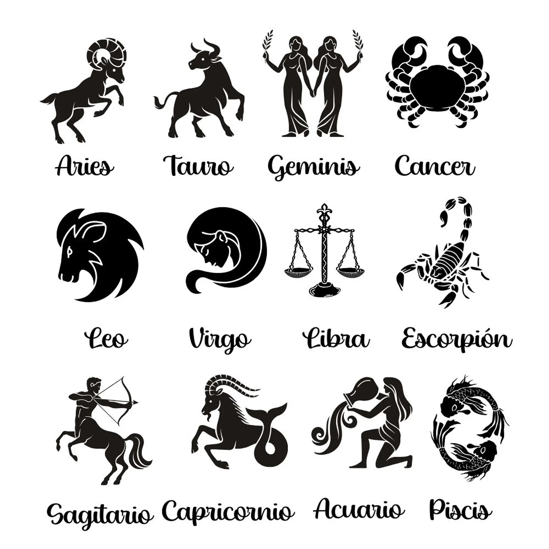 Collar Zodiaco Signos Horoscopo Plata 14