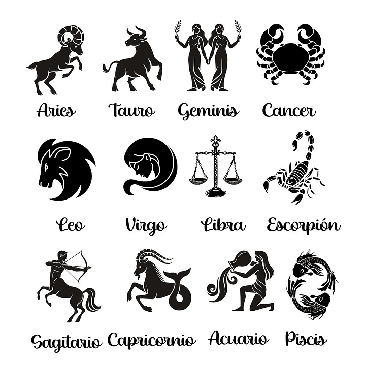 Collar Zodiaco Signos Horoscopo Plata 14