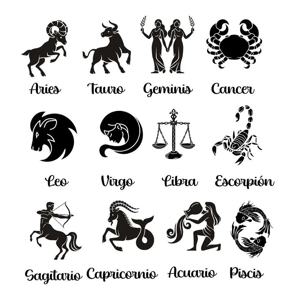 Collar Zodiaco Signos Horoscopo Plata 14