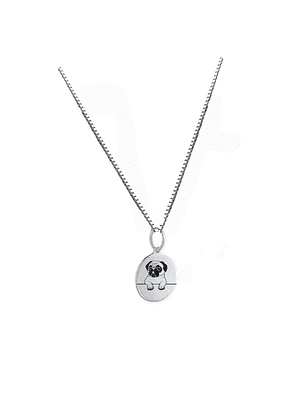 Collar de Plata Mi Perruno Favorito