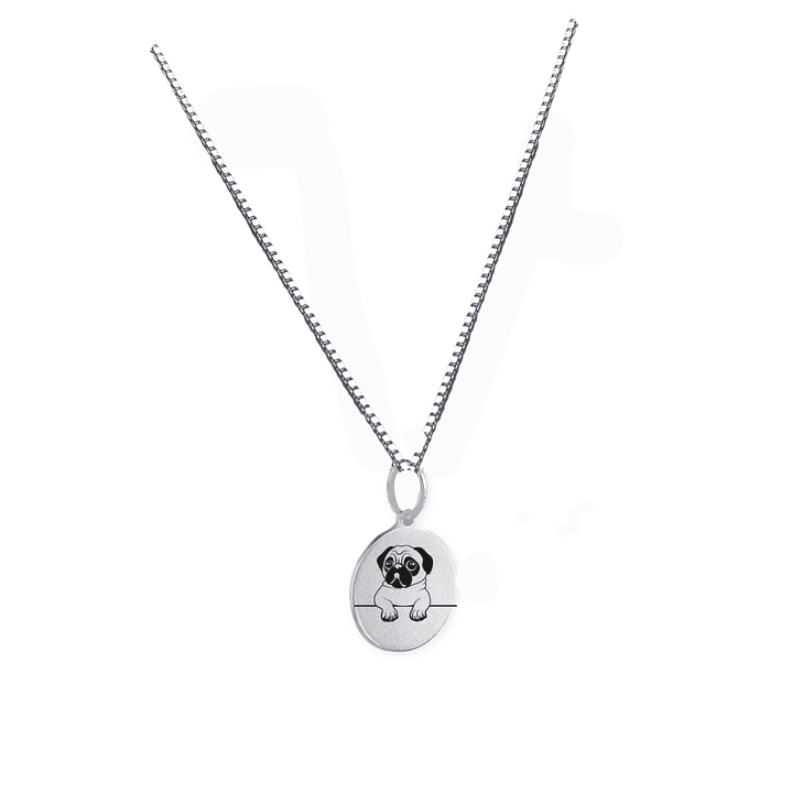 Collar de Plata Mi Perruno Favorito 2