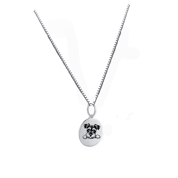 Collar de Plata Mi Perruno Favorito 3