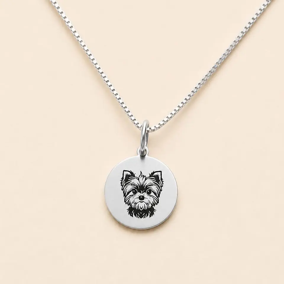 Collar Doglover Personalizable · Plata 925 1