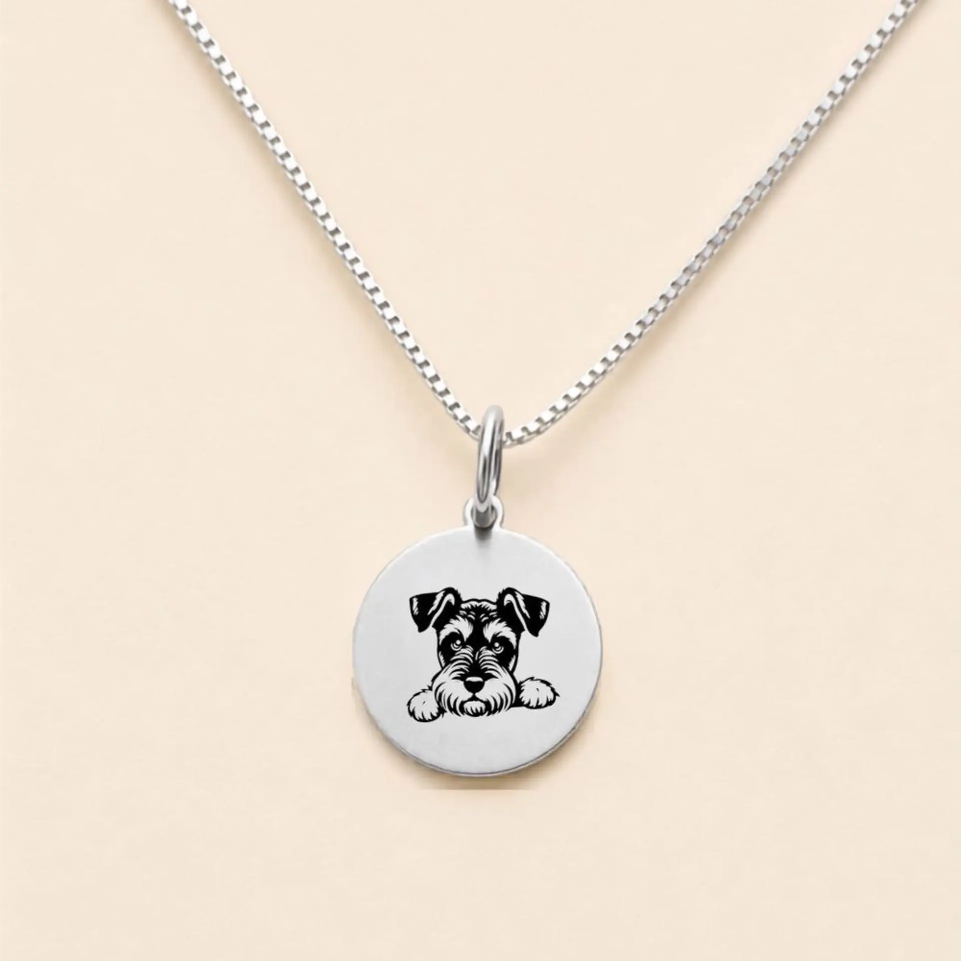 Collar Doglover Personalizable · Plata 925 3