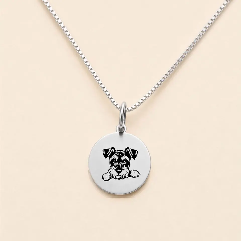 Collar Doglover Personalizable · Plata 925 3