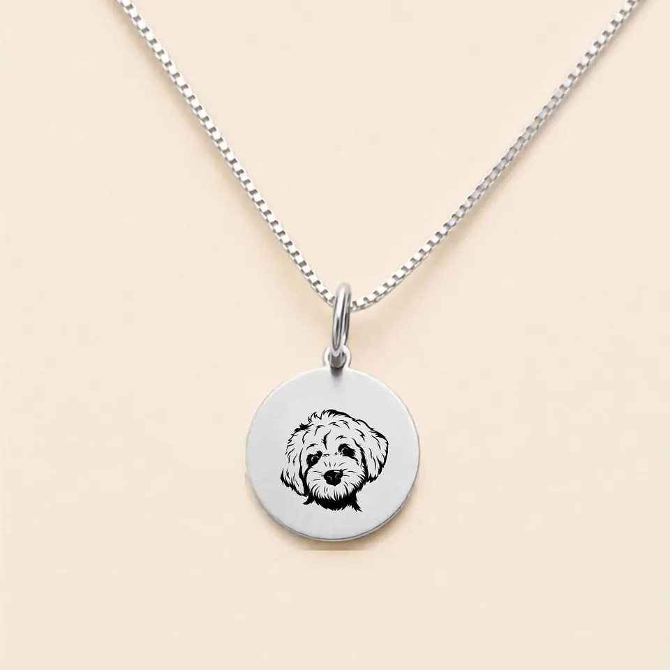 Collar Doglover Personalizable · Plata 925 4