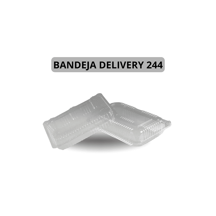 Bandeja Delivery 244, (IVA incluido) 1