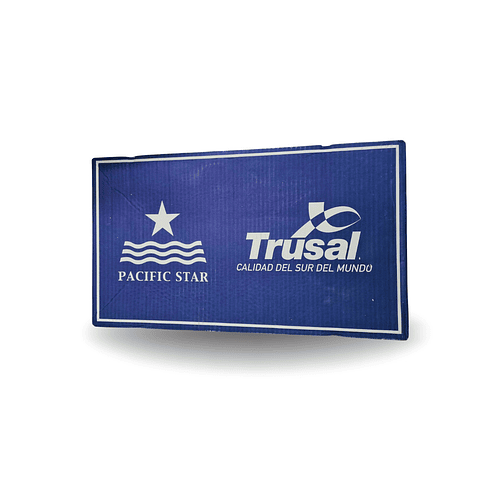 Salmón Nacional Caja 10 Kilos Congelado (Precios Más IVA)