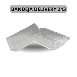 Bandeja Delivery 243 600 Unidades (Precio más Iva)