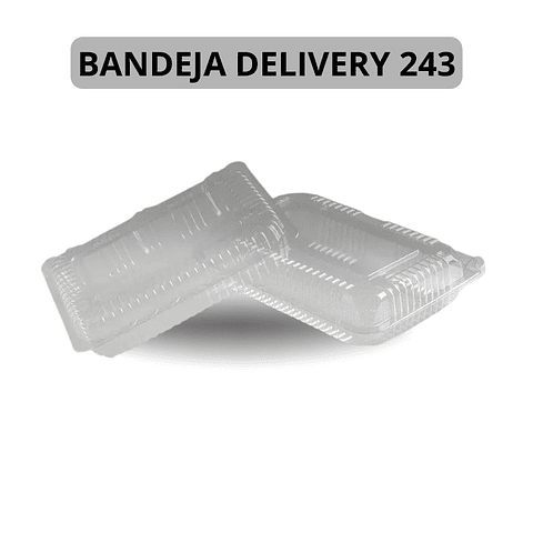 Bandeja Delivery 243 600 Unidades (Precio más Iva)