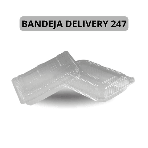 Bandeja Delivery 247 400 Unidades (Precio más Iva)