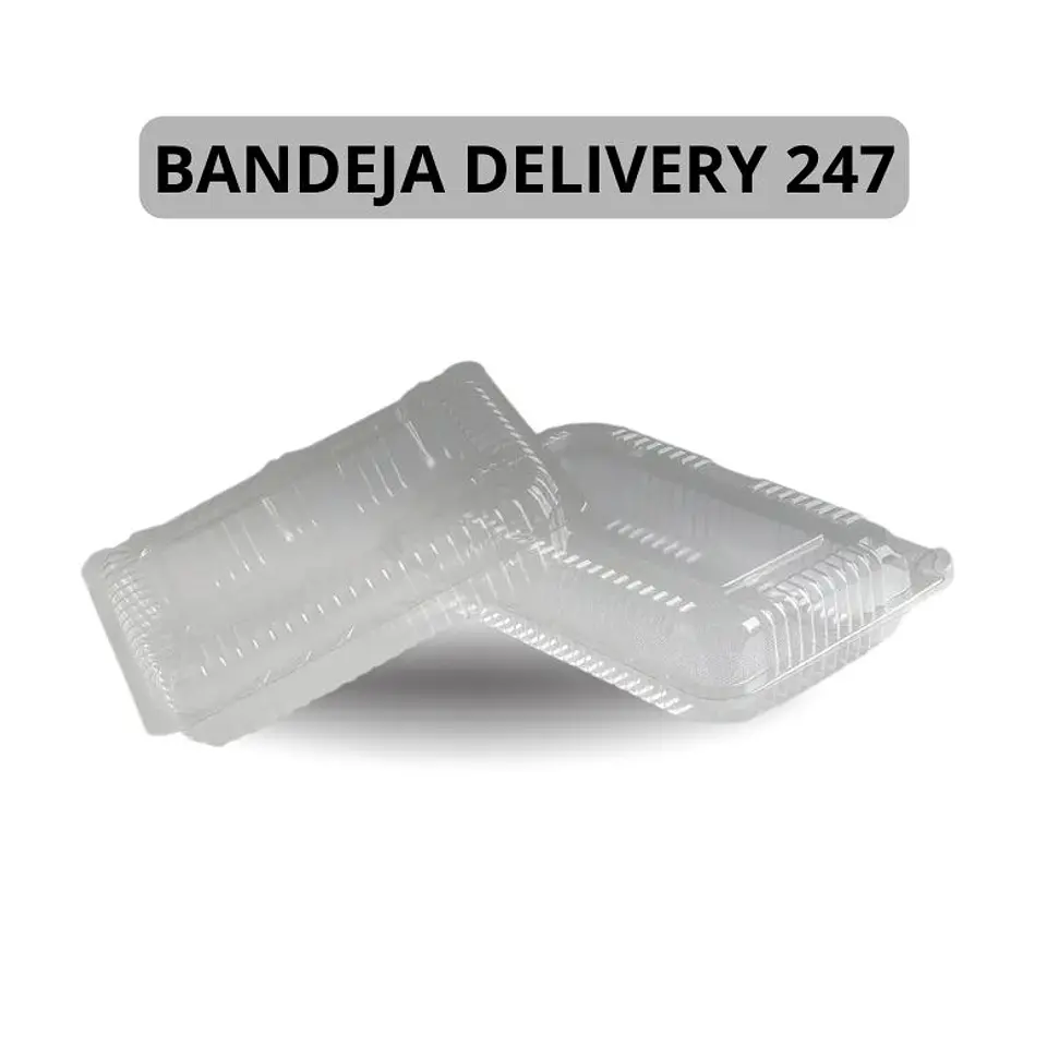 Bandeja Delivery 247 400 Unidades (Precio más Iva) 1