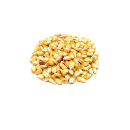 Maíz Chulpi 500 grs (Precios Más IVA)