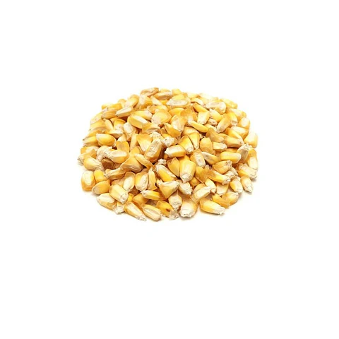 Maíz Chulpi 500 grs (Precios Más IVA)
