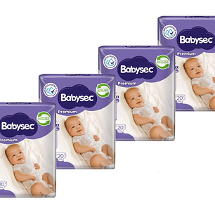 Pack de 4 Paquetes Babysec P 20 uni. c/u.