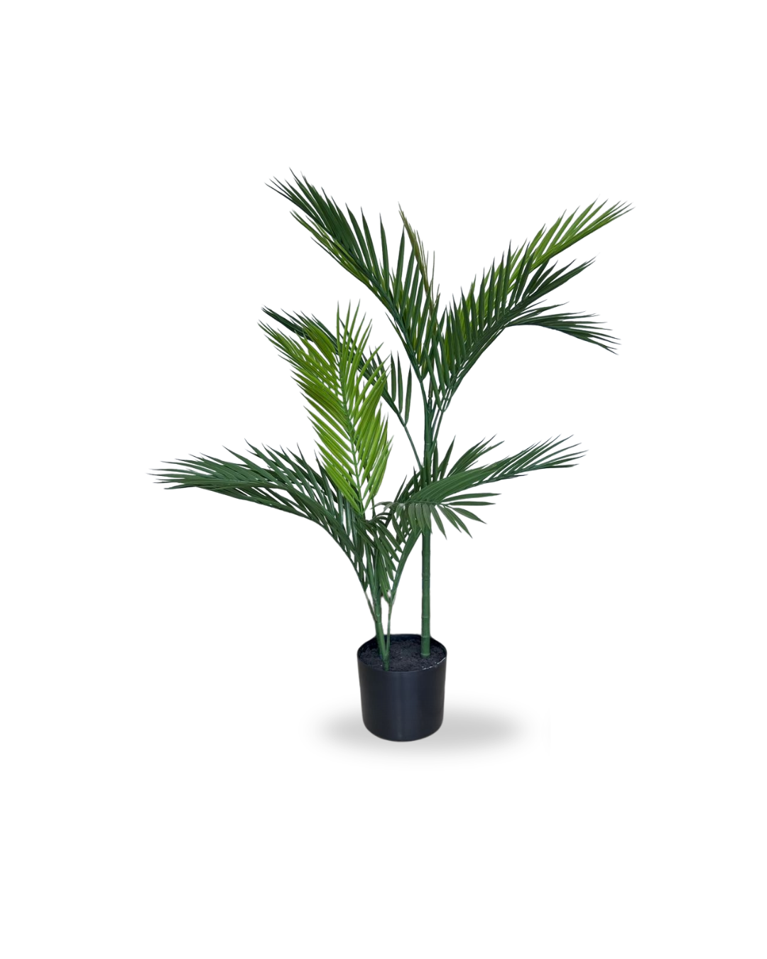 PALMERA UV 3