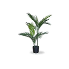 PALMERA UV 3