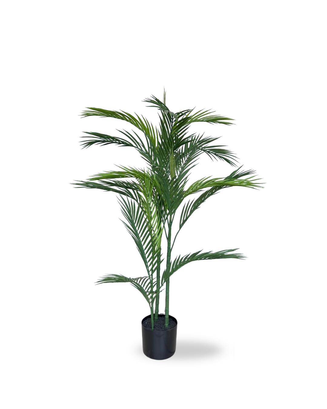 PALMERA UV 4