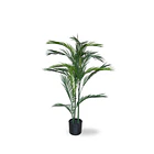 PALMERA UV 4