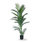 PALMERA UV 5
