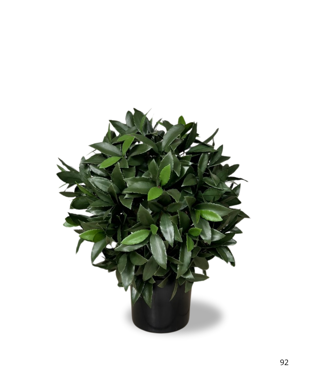 LAUREL 4