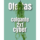 Colgante uv 1