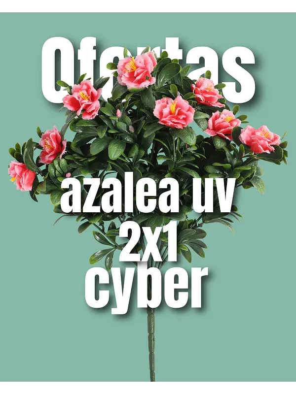 Azalea