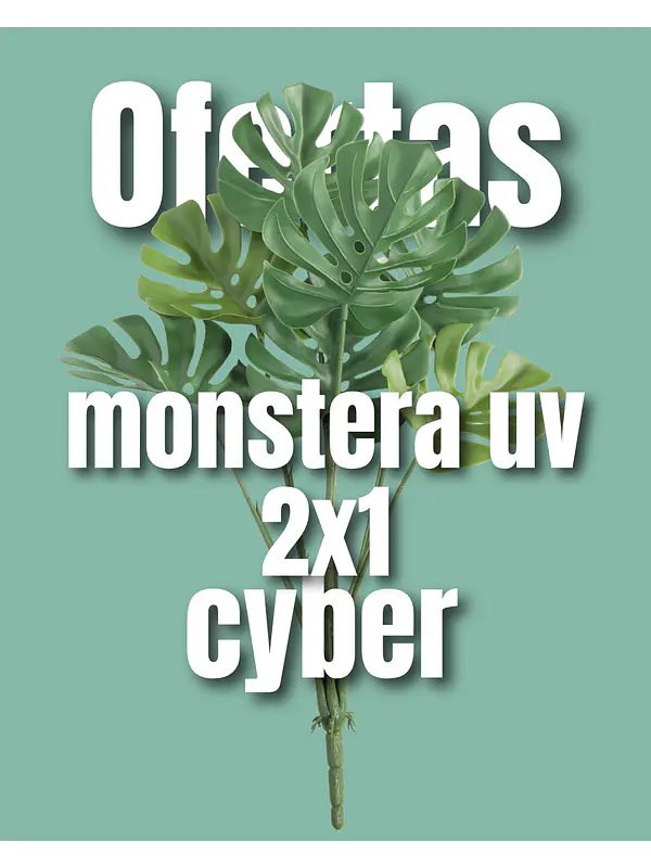 Monstera  UV