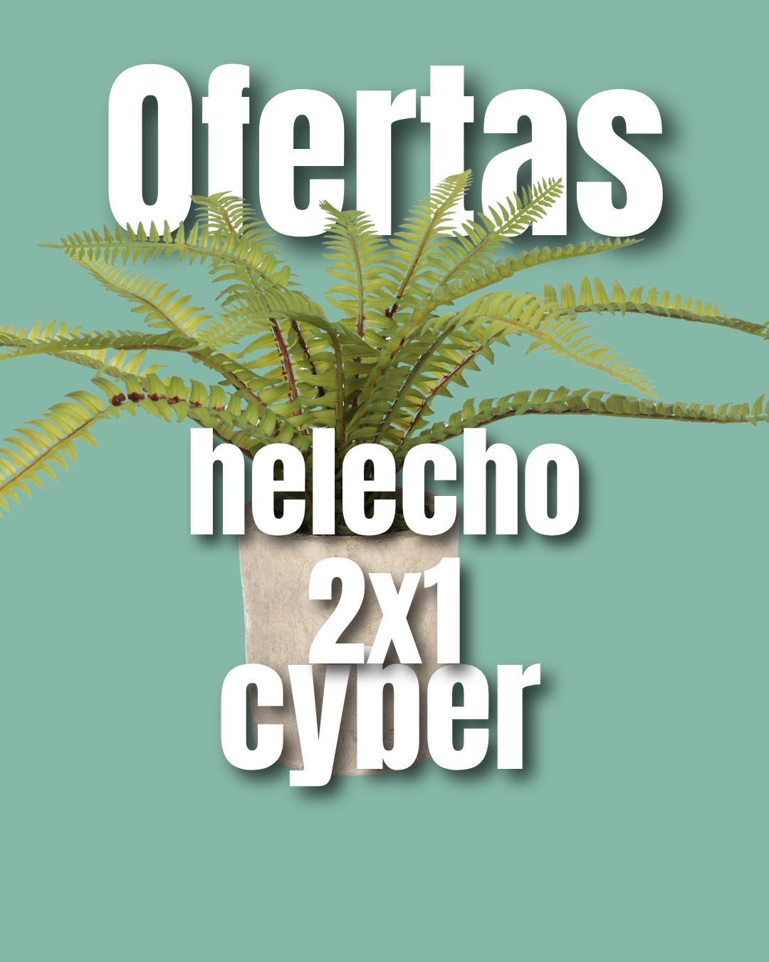 Helcho 2