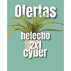 Helcho 2