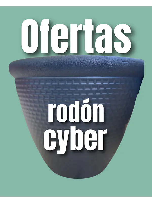 Rodón