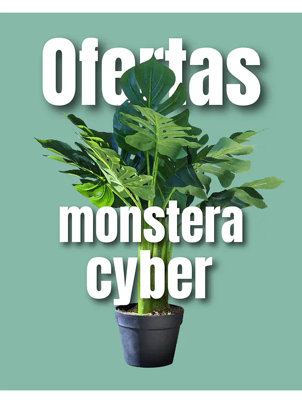 MONSTERA