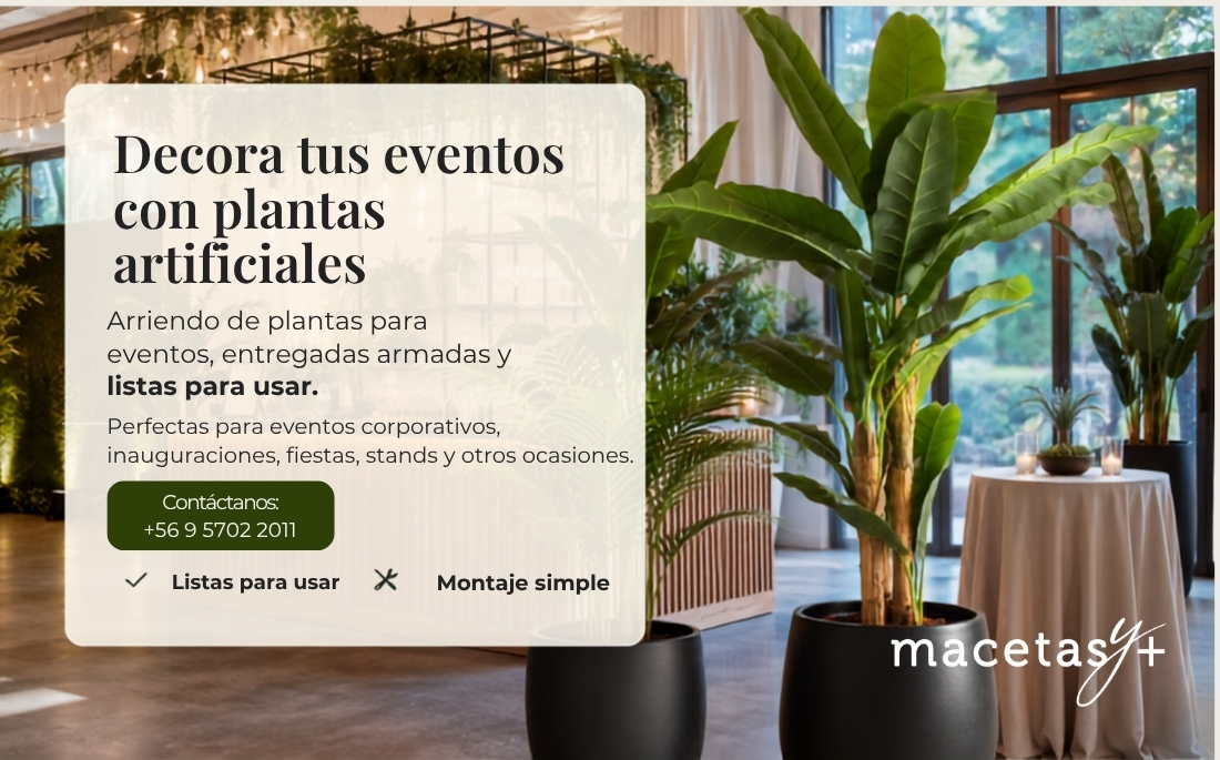 Arriendo de plantas