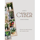 Cyber 2
